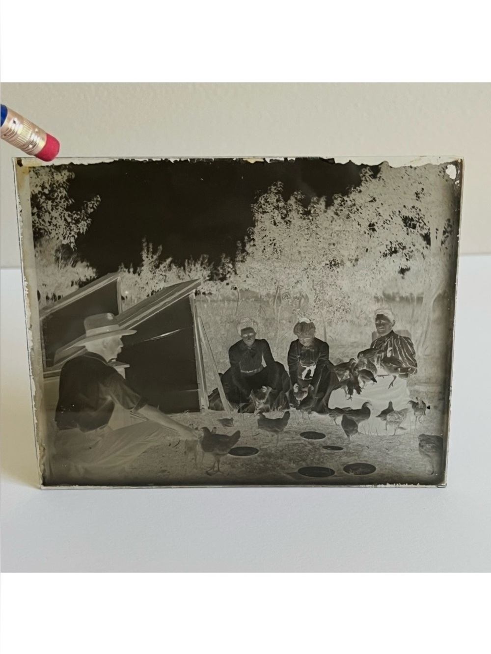 Antique Glass Plate Negative Farm Rural Chickens People NY Area 1800s 1900s